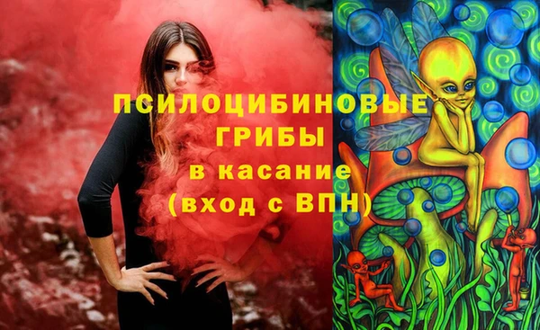 круглые Алексеевка